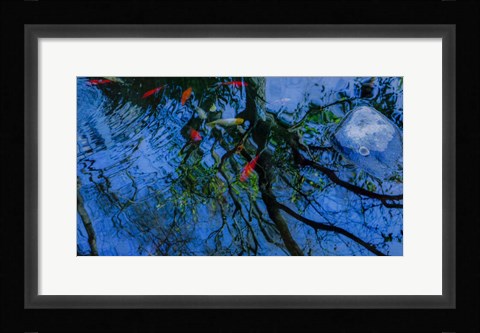Framed Fish Pond Print