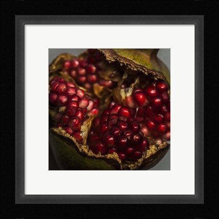 Framed Pomegranate Print