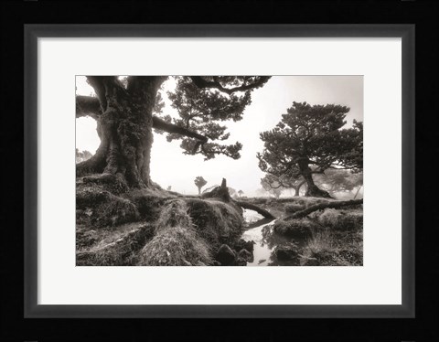 Framed Black &amp; White Fanal Print