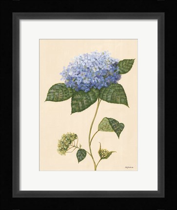 Framed Blue Hydrangea Print