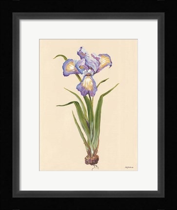 Framed Blue Iris Print