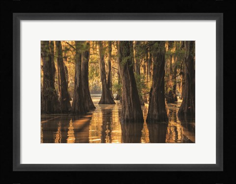Framed Natural Beauty Print