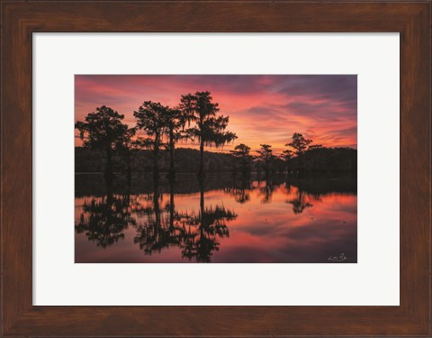 Framed Swamp on Fire Print