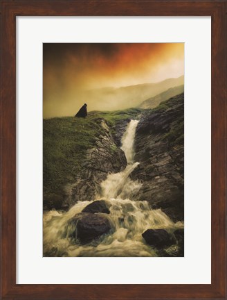 Framed Into the Wild Print