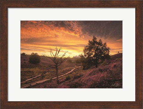 Framed Dead Tree at Sunset Print
