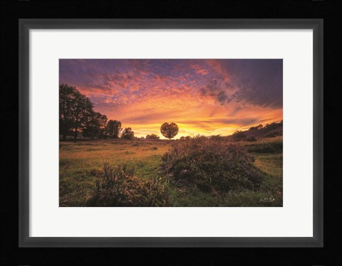 Framed From the Netherlands with Love Print