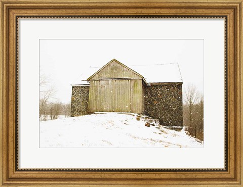 Framed Majestic in the Snow Print