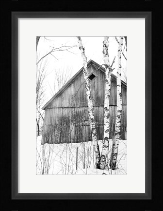 Framed Diamond Window Print