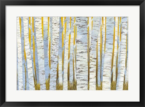 Framed Aspen Grove Print