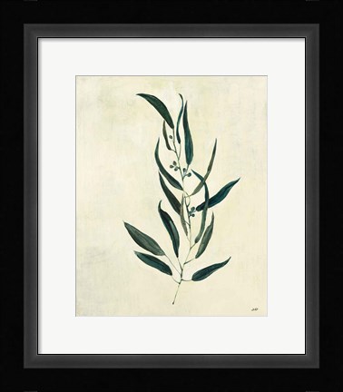 Framed Botanical Study VI Print