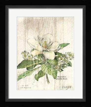 Framed Magnolia de Printemps v2 Print