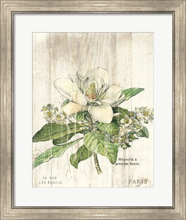 Framed Magnolia de Printemps v2 Print