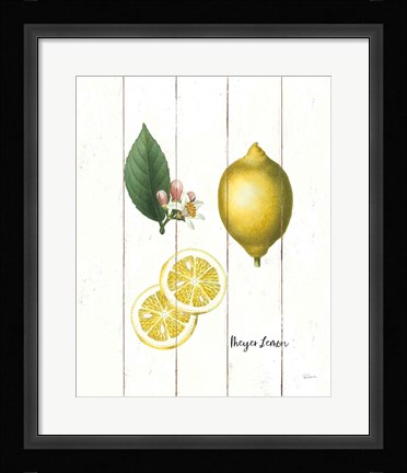 Framed Cottage Lemon II Print
