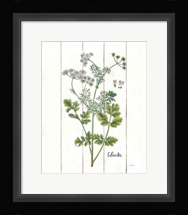 Framed Cottage Herbs III Print