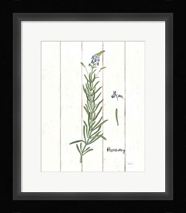 Framed Cottage Herbs I Print