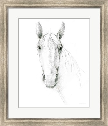 Framed Horse Sketch Print