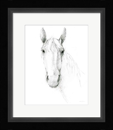 Framed Horse Sketch Print