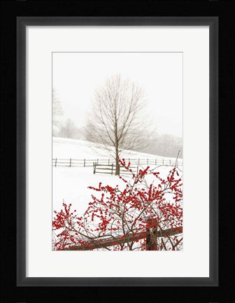 Framed Red on White Print