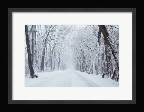 Framed Going Home Print