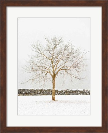 Framed By the Stone Wall Print