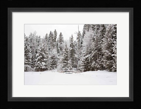 Framed Over the Bridge Print