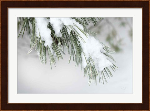 Framed Snowy Bough Print