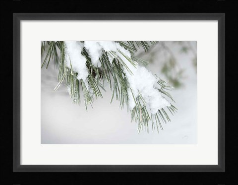 Framed Snowy Bough Print