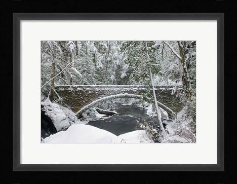 Framed Whatcom Creek Bridge Print
