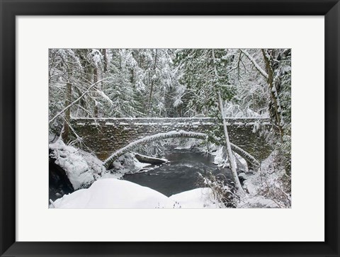 Framed Whatcom Creek Bridge Print