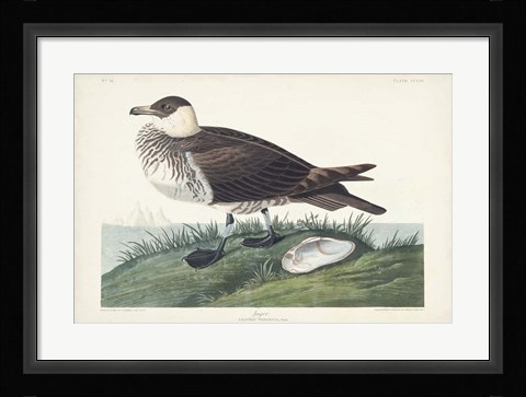 Framed Pl 253 Jager Print