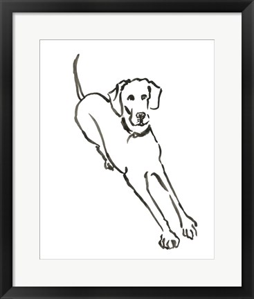 Framed Dog II Print