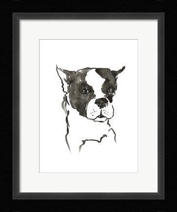 Framed Dog V Print
