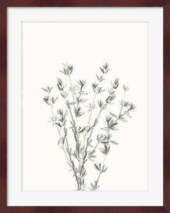 Framed Delicate Sage Botanical III Print