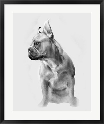 Framed Pug Portrait II Print