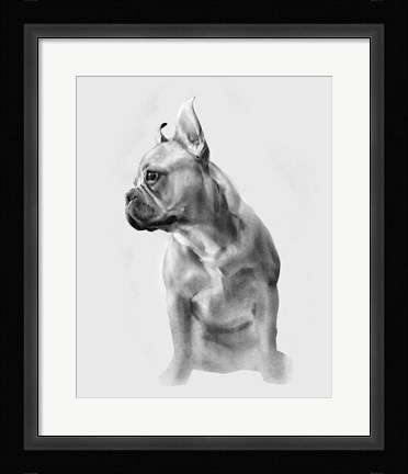 Framed Pug Portrait II Print