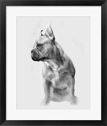 Framed Pug Portrait II Print
