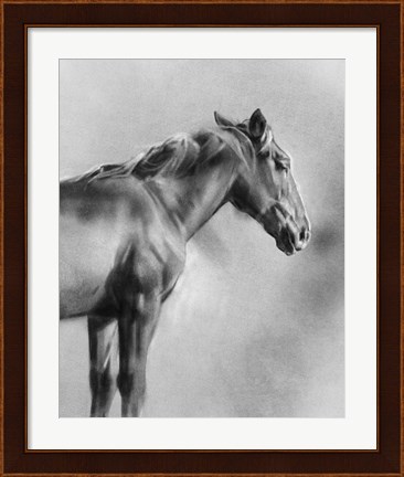 Framed Charcoal Equine Portrait I Print
