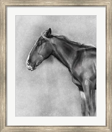 Framed Charcoal Equine Portrait II Print