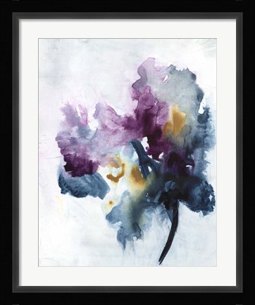 Framed Bouquet II Print