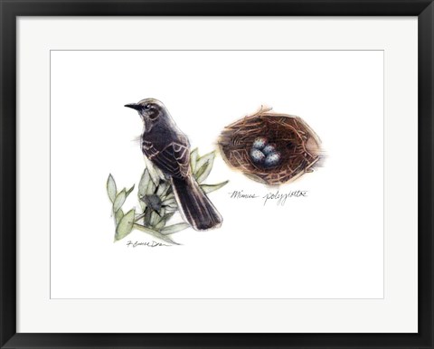 Framed Bird &amp; Nest Study I Print