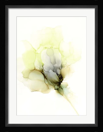 Framed Fluid Bloom II Print