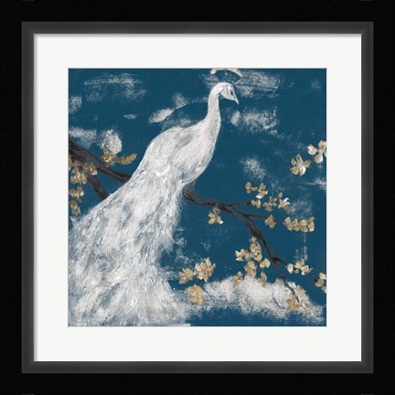 Framed White Peacock on Indigo I Print