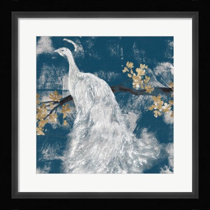 Framed White Peacock on Indigo II Print