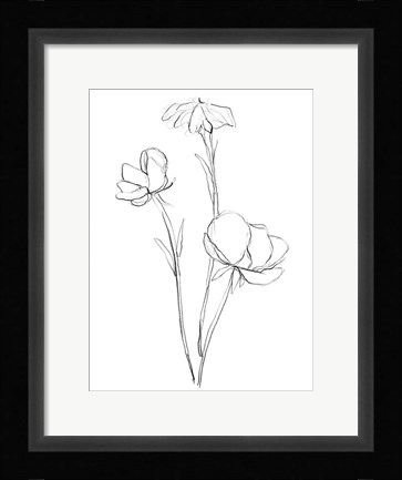Framed Stem Contour II Print