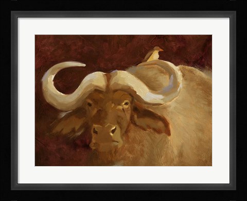 Framed Cape Buffalo II Print