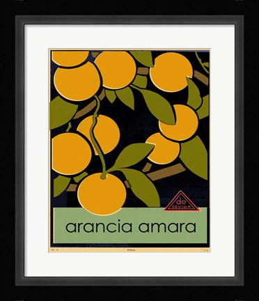 Framed Euro Poster V Print