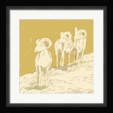 Framed Big Horn II Print