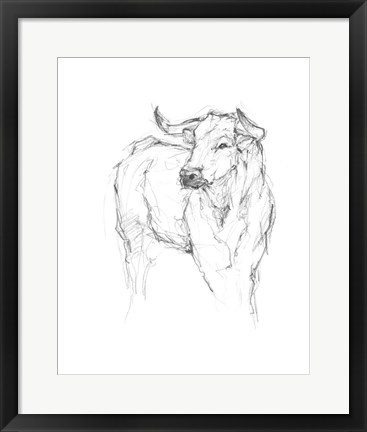 Framed Bull Study I Print