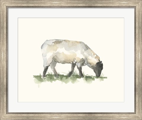 Framed Grazing Farm Animal III Print