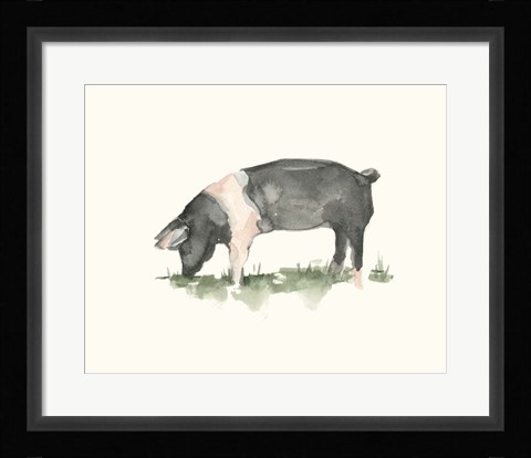 Framed Grazing Farm Animal IV Print